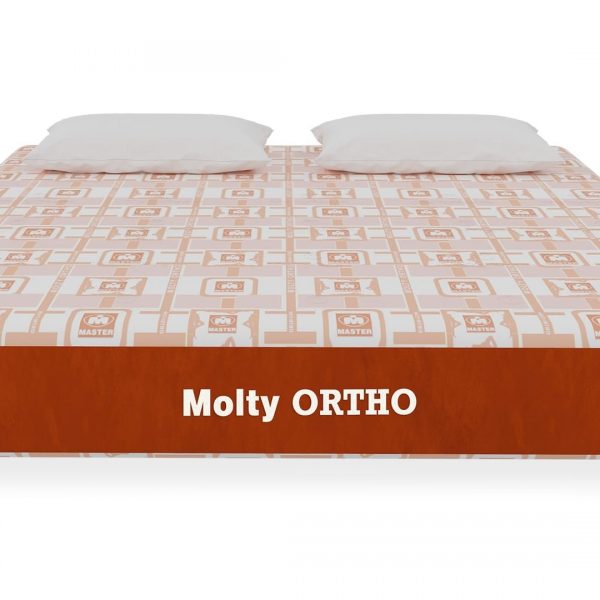 molty foam pillow