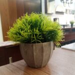 Table Plant Pot