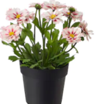 Table Flower Pot Decor Piece