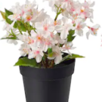 Table Flower Pot Decor Piece